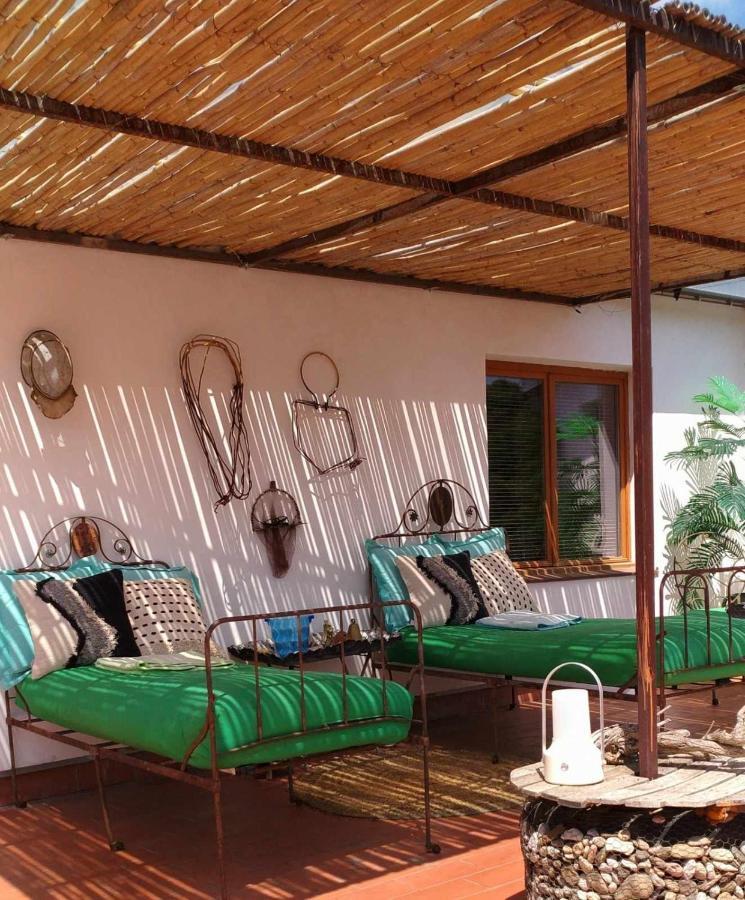 Sleep And Stay Terrace Loft In Sant Daniel Girona Eksteriør bilde